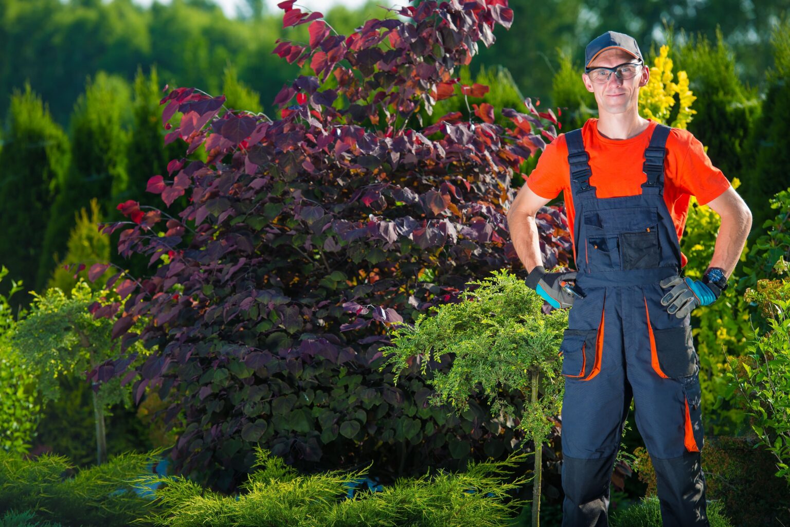 Gartenbau und Landschaftsbau Wien & Umgebung