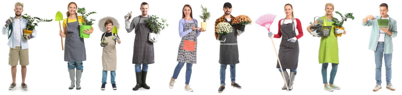 Individuelle Gartengestaltung vom Experten. Wir planen Ihre Wohlfühl-Oase in Wien und Umgebung. ➤ Jetzt Beratung anfragen!