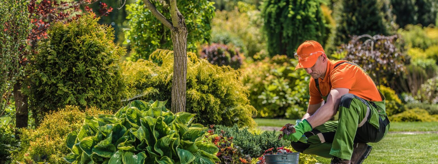 Wir erfüllen Ihren Gartentraum & übernehmen die Gartenplanung, Balkon- oder Terrassen-Planung. Ob öffentliche Anlage oder privater Garten