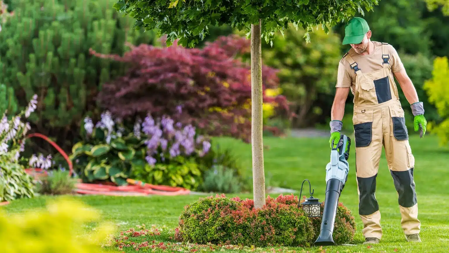 Professionelle Gartendienstleistungen