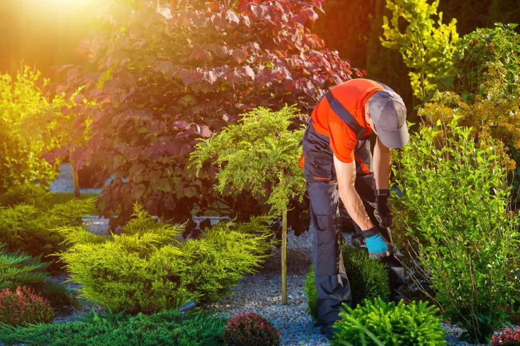 gartengestaltung wien Herbstputz im Garten – Wir machen Wien winterfit!