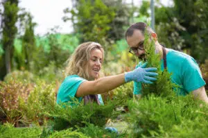 gartengestaltung wien Gartengestaltung Wien – Ihr Experte für traumhafte Gärten