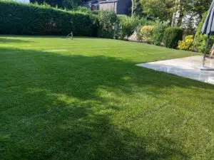 Rollrasen verlegen lassen Wien