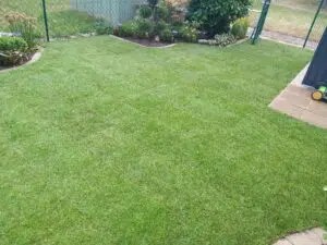 Rollrasen & Gartenpflege Wien