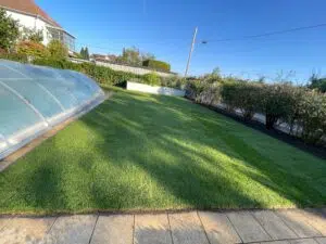 Rollrasen für Schatten