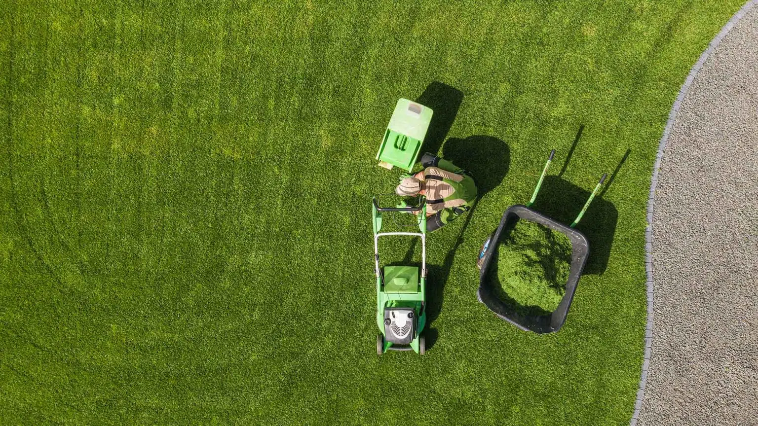 Professionelle Grünflächen Services für Wien & Umgebung – Pflege, Gestaltung & Betreuung vom Experten