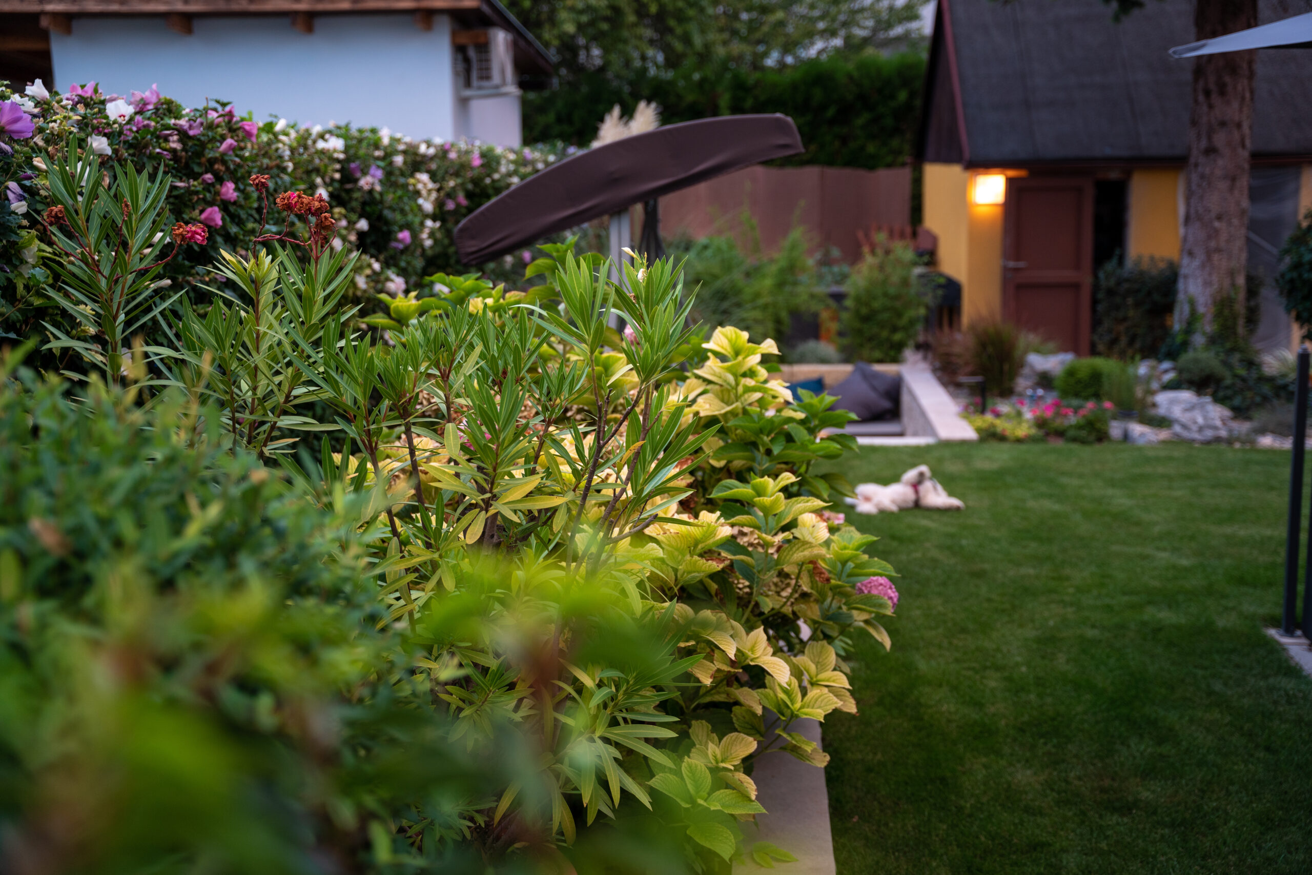 Gartengestaltung in Wien mit harmonischer Bepflanzung, Bäumen und nachhaltigem Gartenbau