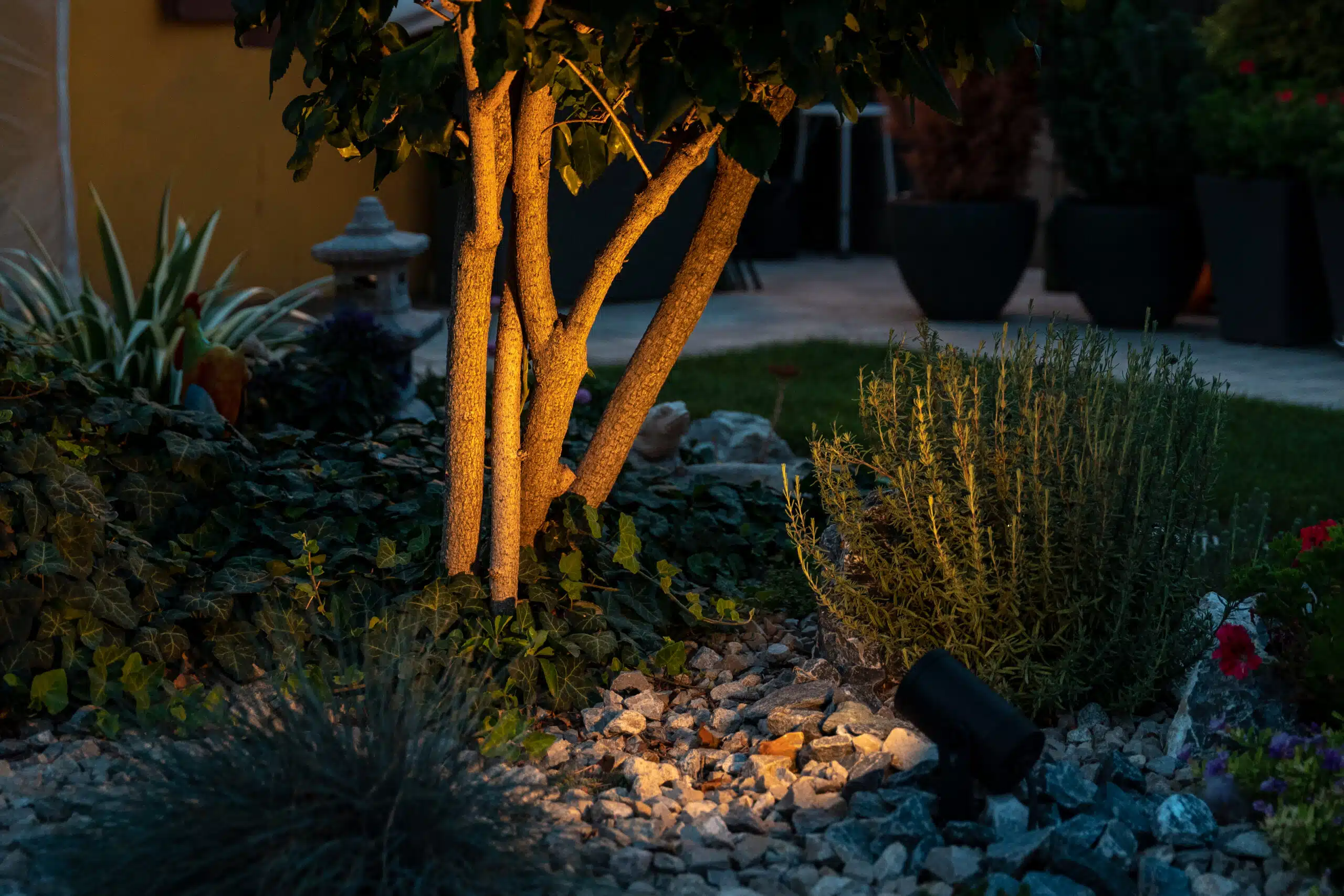 Gartengestaltung in Wien mit harmonischer Bepflanzung, Bäumen und nachhaltigem Gartenbau