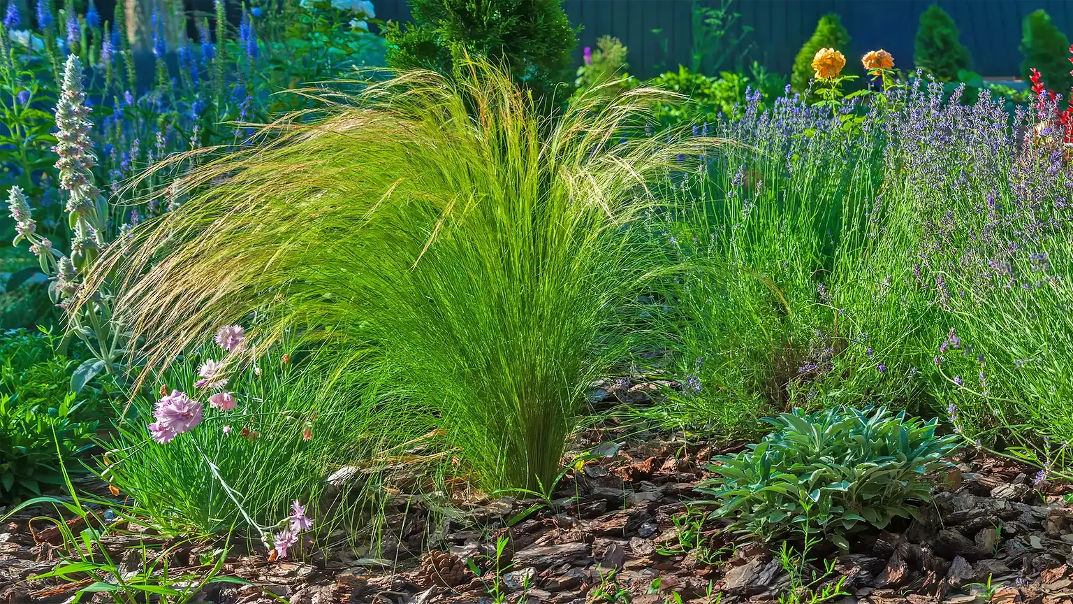 Den Wiener Klimawandel im Blick: Hitze-Resilienz im Garten