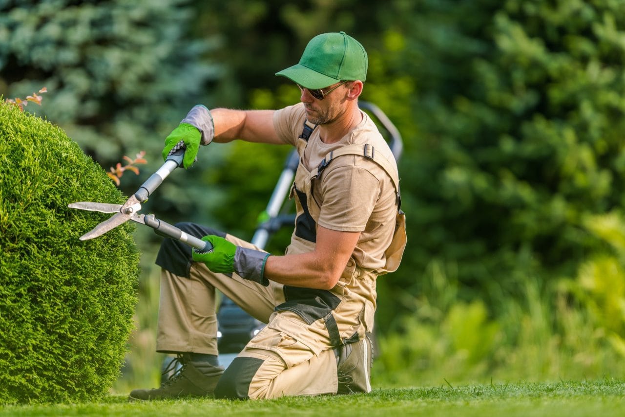Professionelle Gartenpflege in Wien und Umgebung. Wir kümmern uns um Rasenmähen, Heckenschnitt, Baumpflege und Reinigung für einen gepflegten Garten.